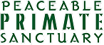 DCC image